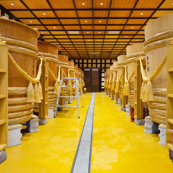 DSC02069_j2_600x600_crop_cente