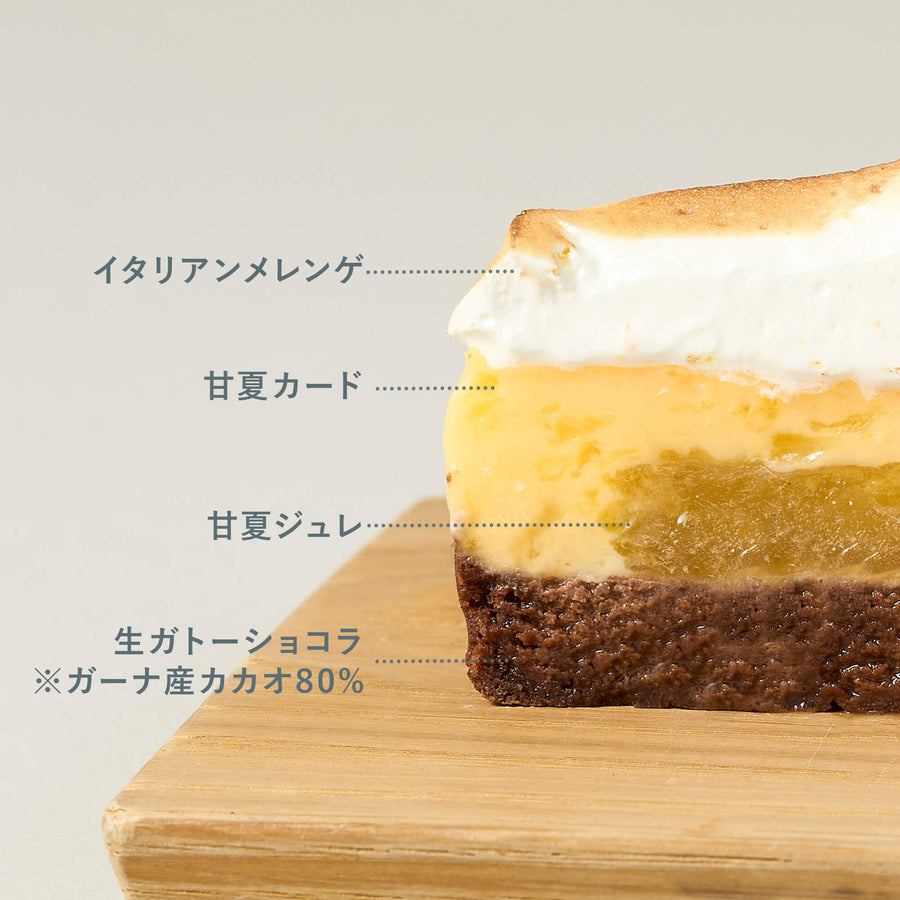 福袋限定おばケーキ 限定スイーツ食べ比べ福袋 | Minimal（ミニマル） – Minimal - Bean to