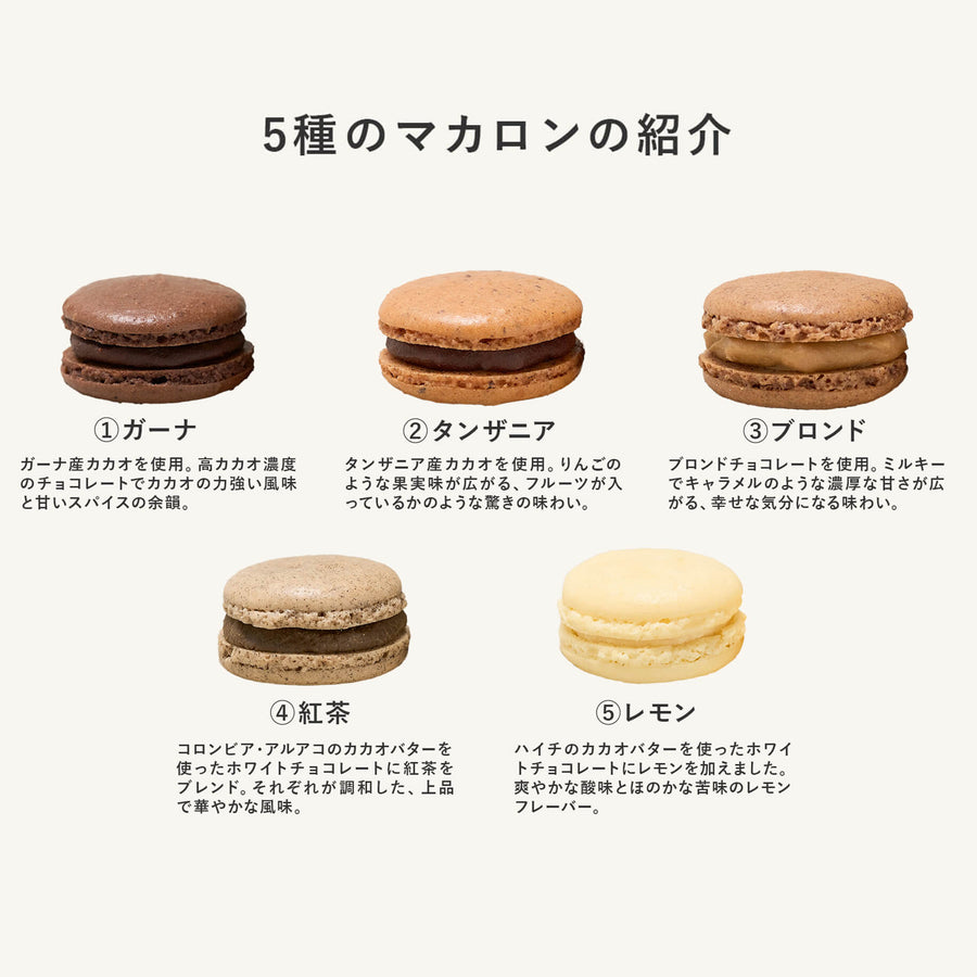 マカロン5種詰め合わせ（10個入）